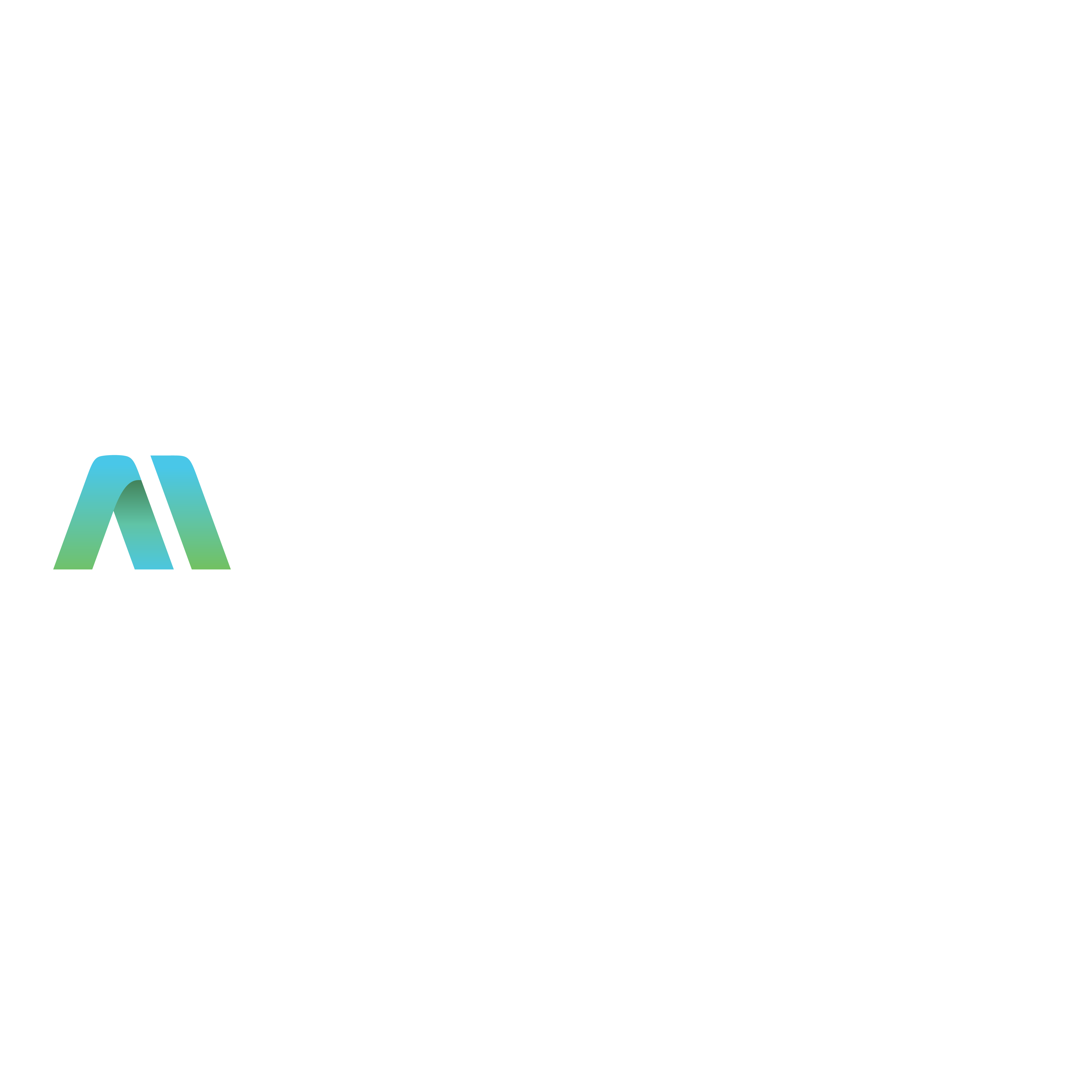 Megatron – Software Development and Services