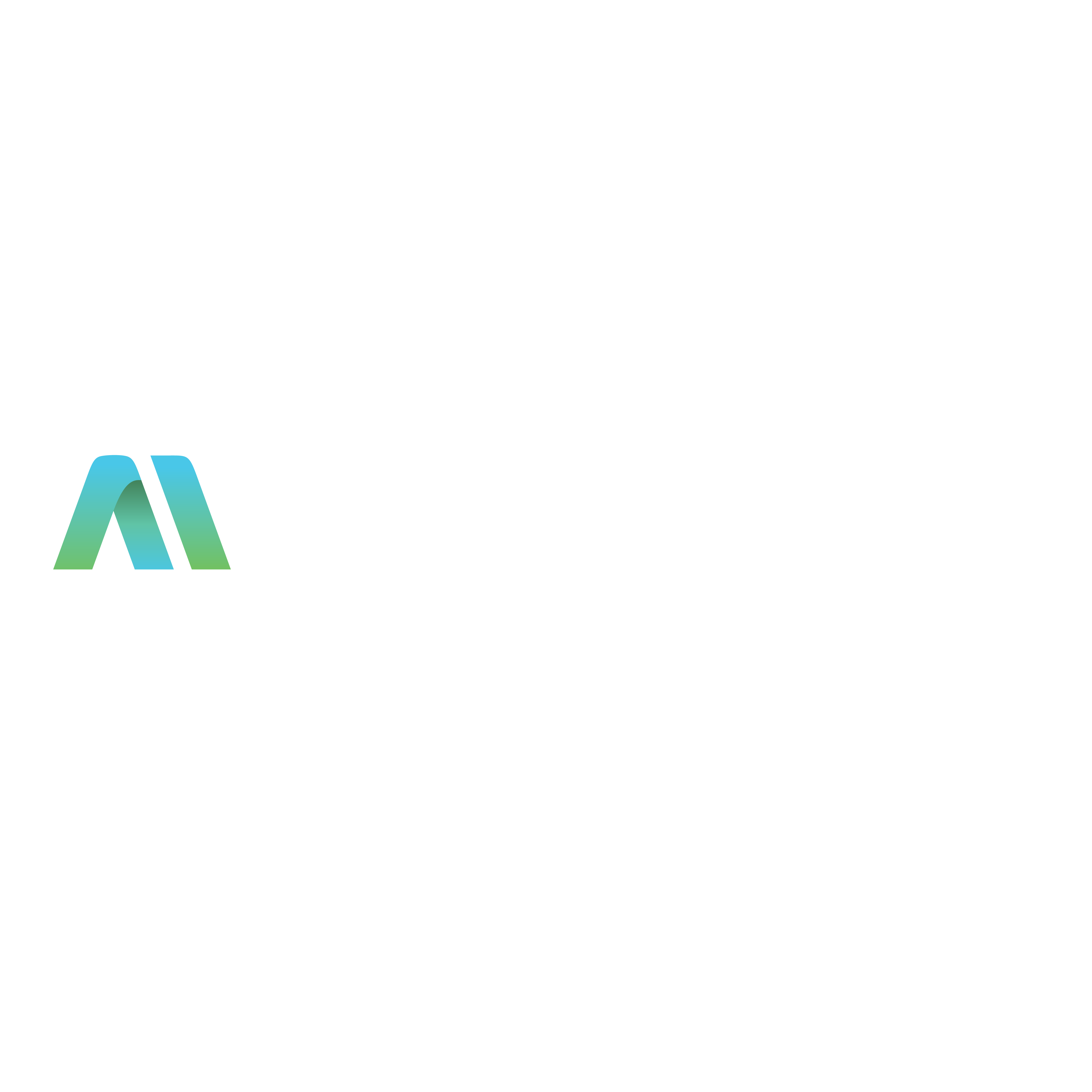 Web Development Megatron Software Development and Services
